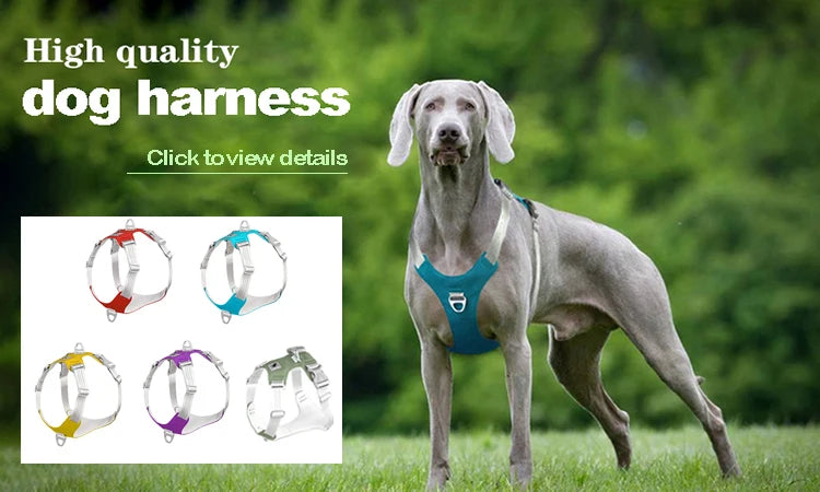Waterproof Winter Dog Jacket & Warm Coat