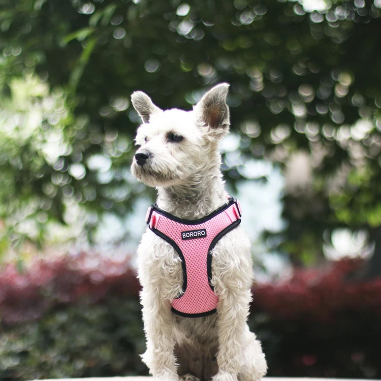 Breathable Mesh Vest Harness for Dogs & Cats