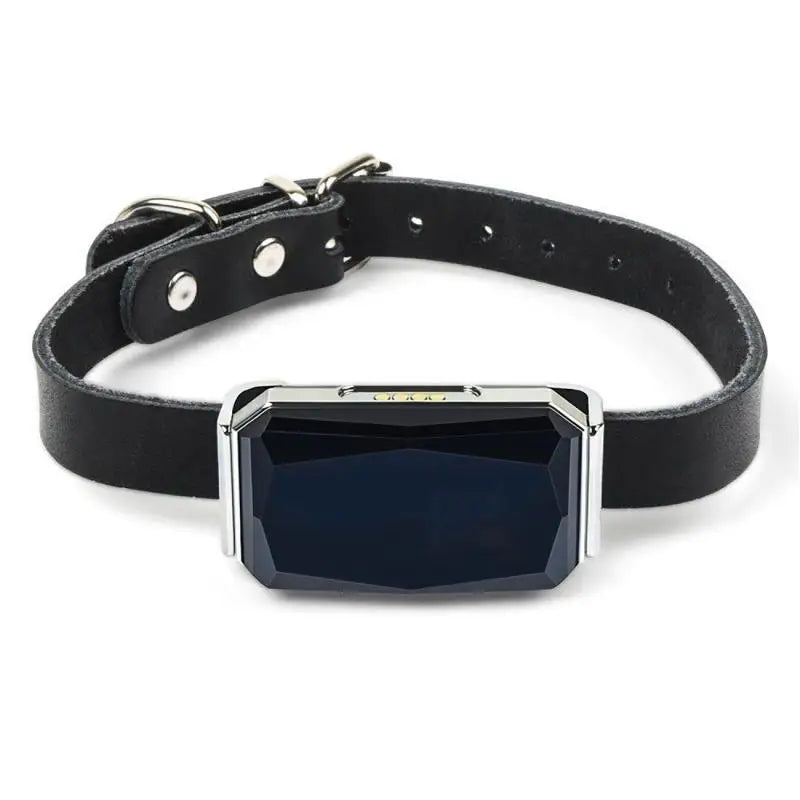 IP67 Multi-Mode GPS Tracker for Pets & Kids — Geofence, SOS & Two-Way Call