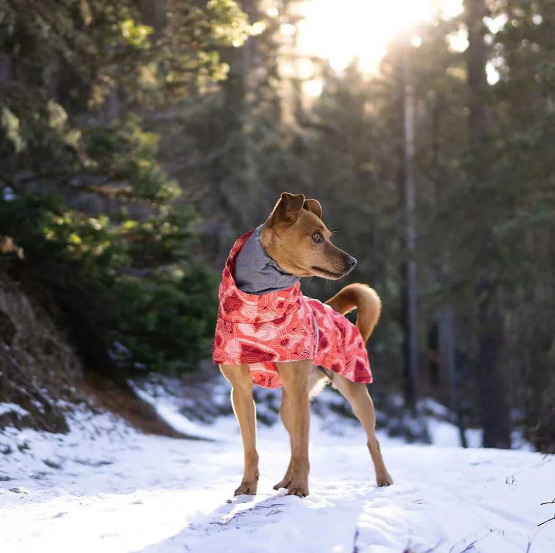 Waterproof Winter Dog Jacket – Warm Outfit for Small, Medium & Large Dogs