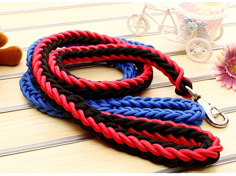 Heavy-Duty Nylon Dog Lead
