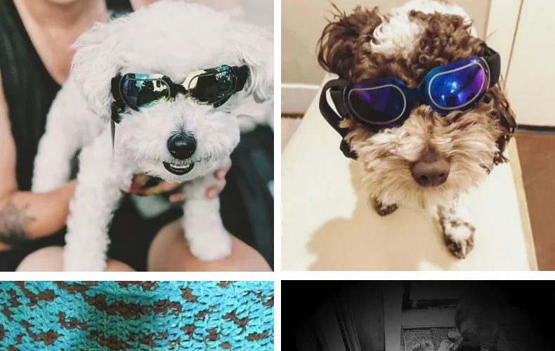 Adjustable Dog Sunglasses & Goggles