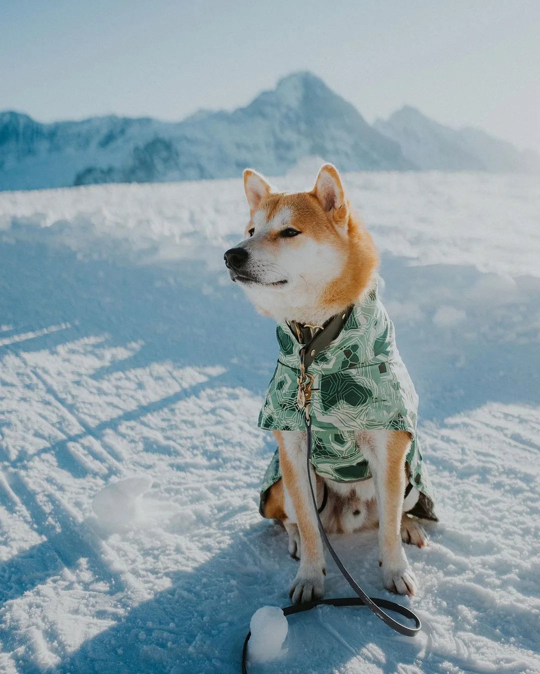 Waterproof Winter Dog Jacket – Warm Outfit for Small, Medium & Large Dogs