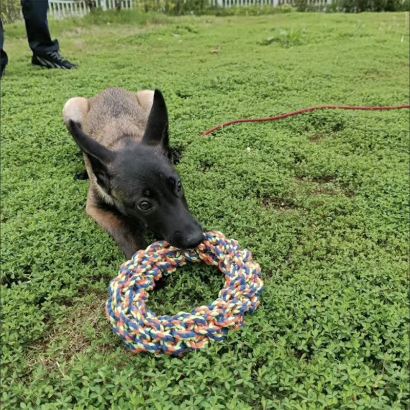 Round Rope Chew Toy for Medium & Large Dogs