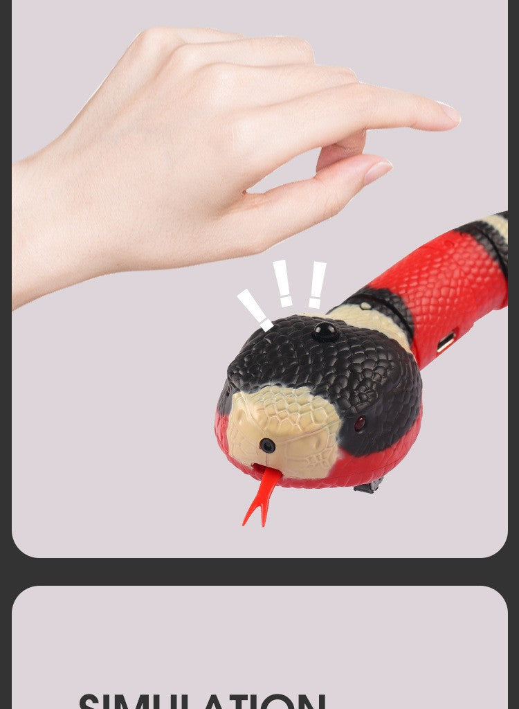 Interactive Slithering Snake Cat Toy