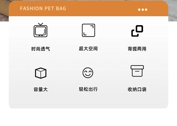 Expandable Mesh Pet Carrier for Cats & Small Dogs
