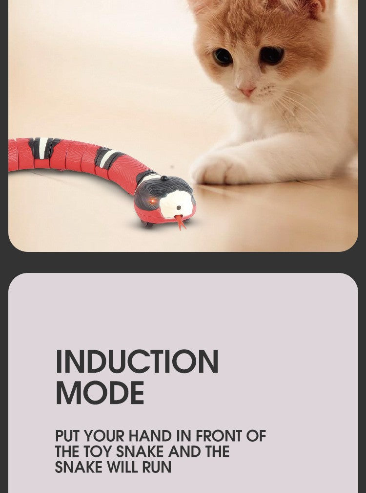 Interactive Slithering Snake Cat Toy