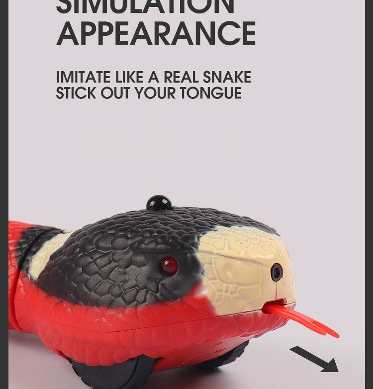 Interactive Slithering Snake Cat Toy