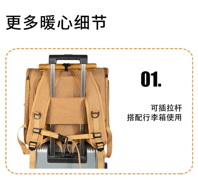 Expandable Mesh Pet Carrier for Cats & Small Dogs