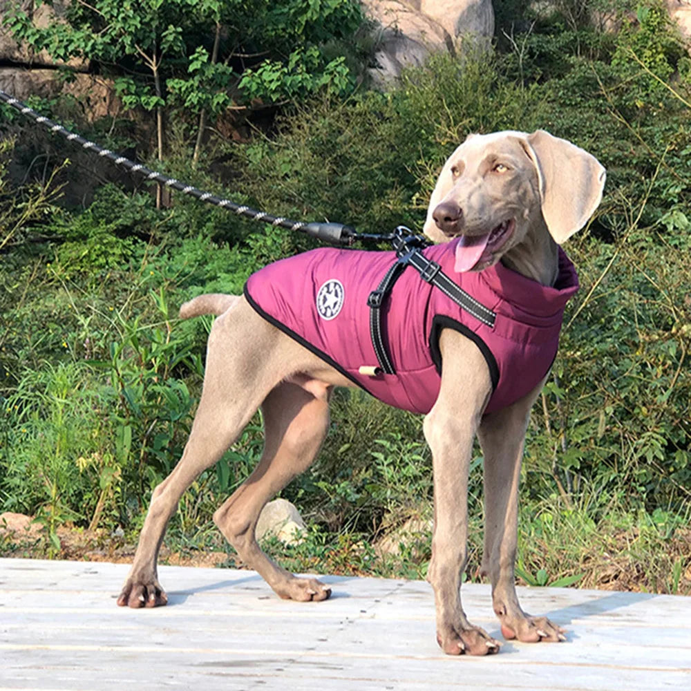 Waterproof Reflective Winter Dog Jacket