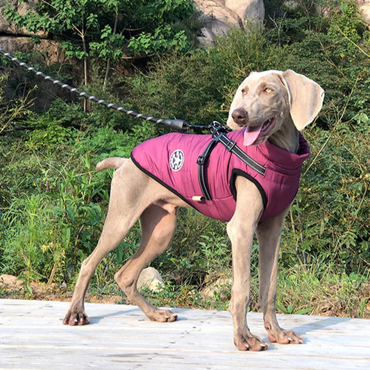 Waterproof Reflective Winter Dog Jacket