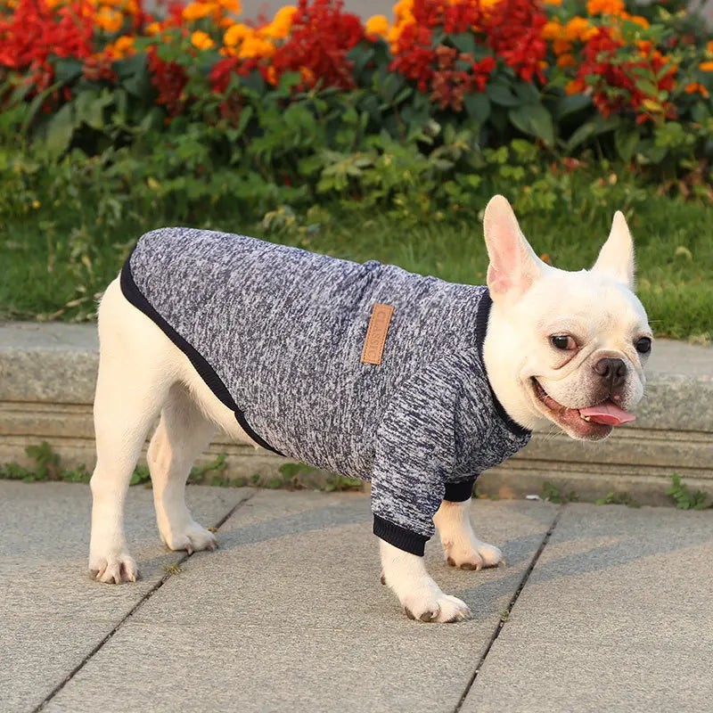Winter Pet Jacket - Warm Coat for Dogs and Cats