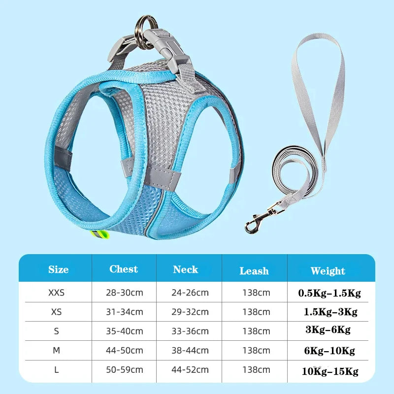 Small Dog Harness and Leash Set