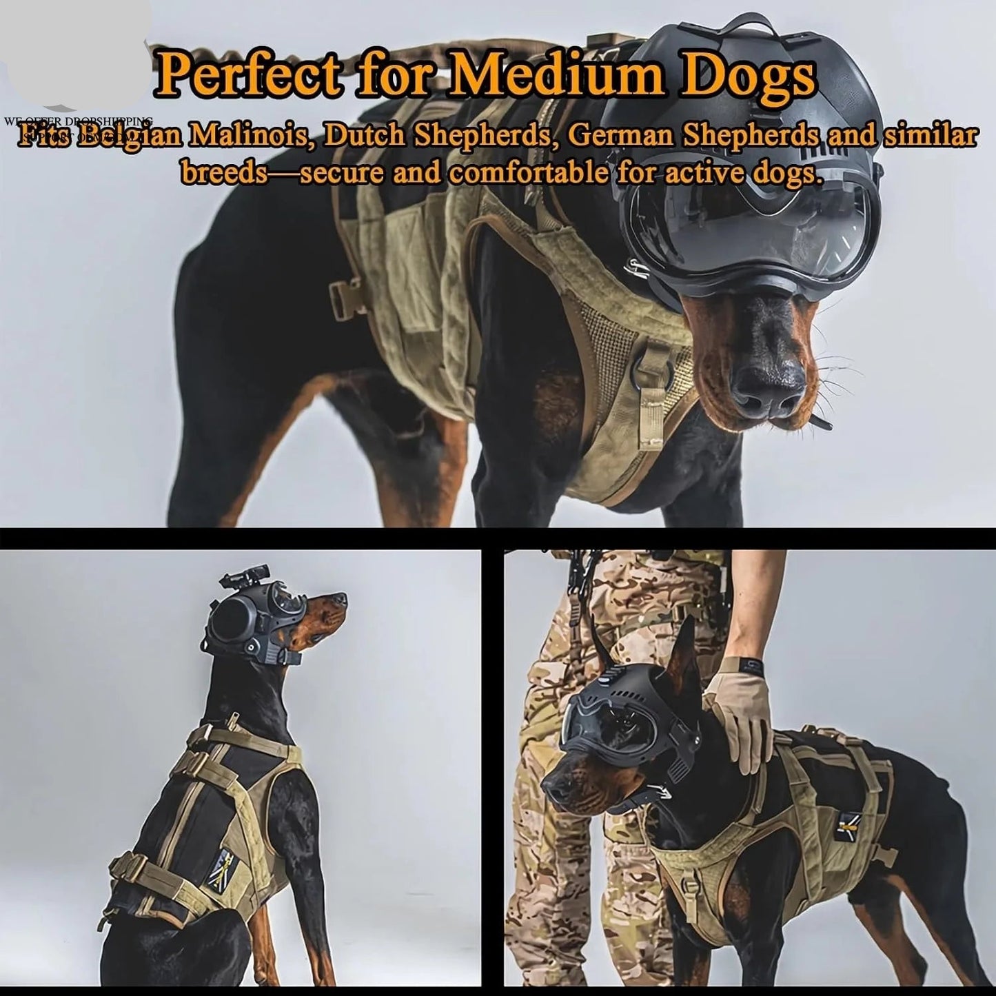 Tactical Dog Helmet with Removable Ear Guards — Adjustable Head Protection for Working Dogs & Large Breeds