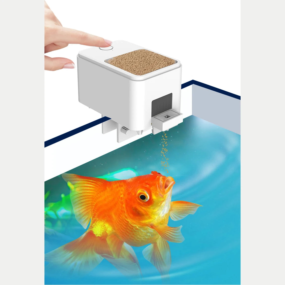 Automatic WiFi Fish Feeder with Smart Controls