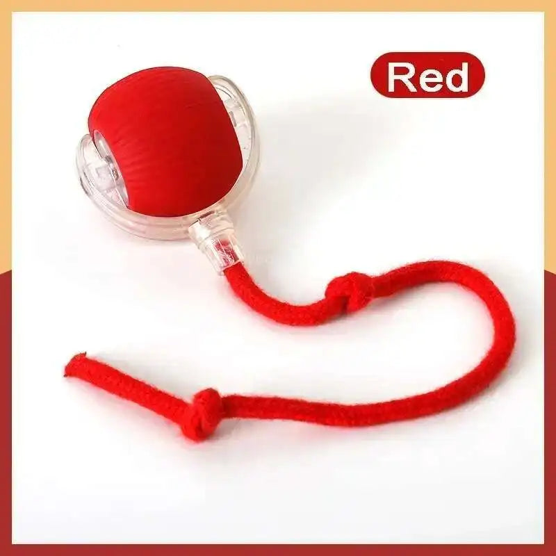 Smart Touch & Motion Activated Rolling Ball Toy for Cats & Dogs