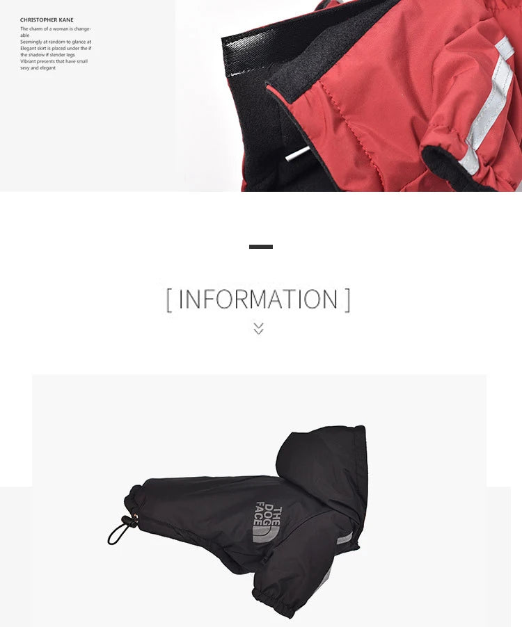 Manteau imperméable à capuche pour chien