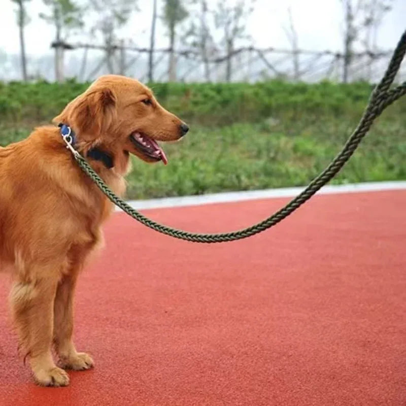 Ensemble laisse et collier pour chien avec gilet harnais