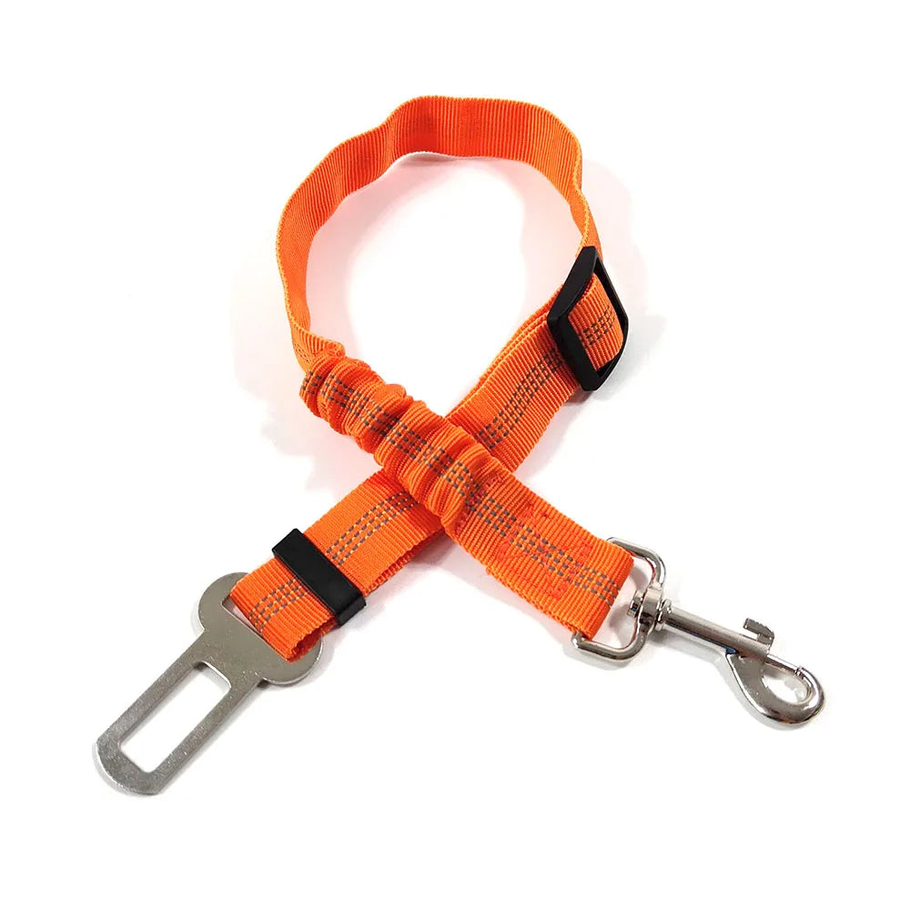 Ceinture de sécurité rétractable pour chien avec bande réfléchissante