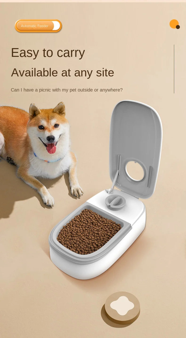 Single-Meal Automatic Pet Feeder with Timer & Cooling Pack