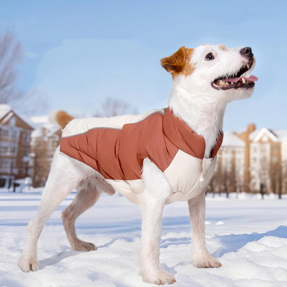 Windproof Reflective Down Jacket for Small Dogs | Harness Hole