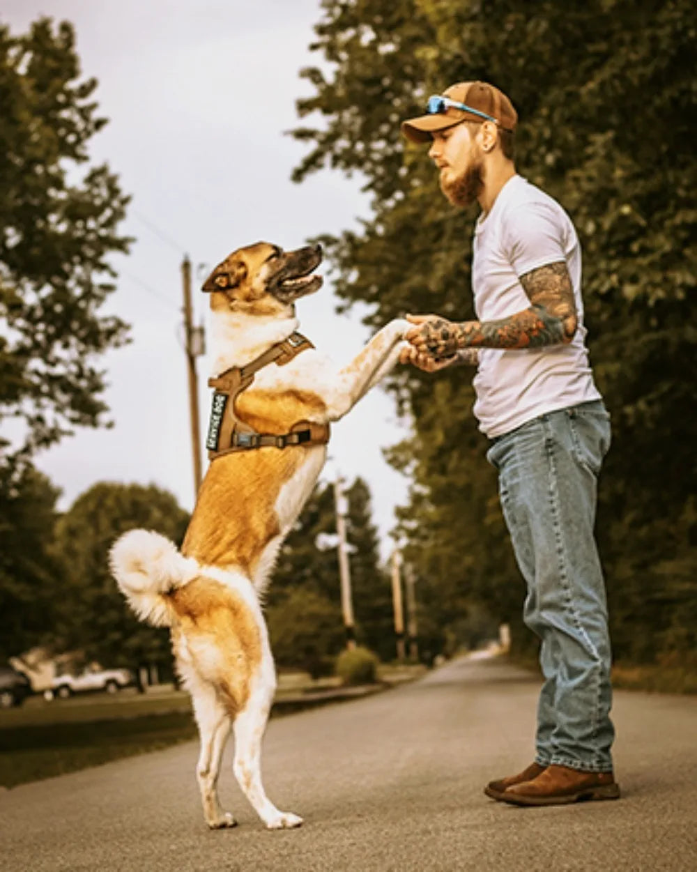 No-Pull Tactical Dog Harness with Reflective Strips