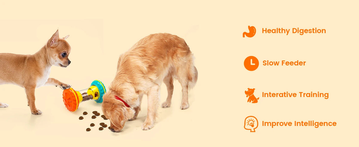 Interactive Dog Puzzle Feeder – Treat Dispensing Enrichment Toy
