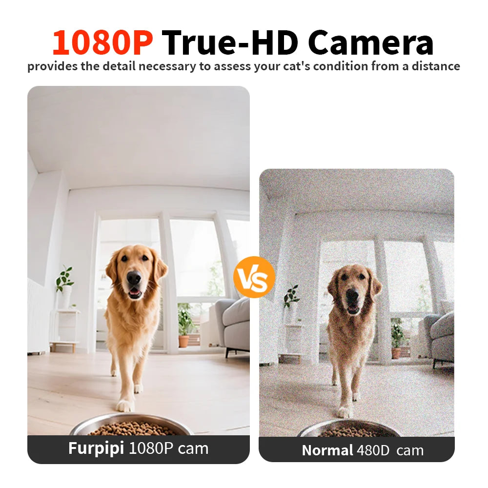 8L Smart Pet Feeder with 1080P Camera, Night Vision & Stainless Steel Bowl — 5G Wi-Fi & Tuya App