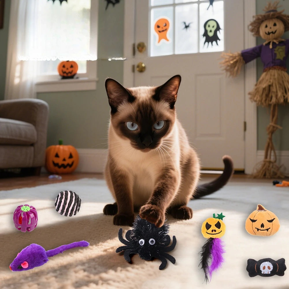 Halloween Cat Toys Set with Bats, Spiders and Pumpkins