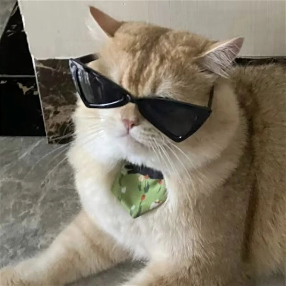 Personalise Sphynx Sunglasses Pet Accessories for Cats Puppy Kitten Goggles Windproof Glasses Pet Outdoor Traveling Supplies