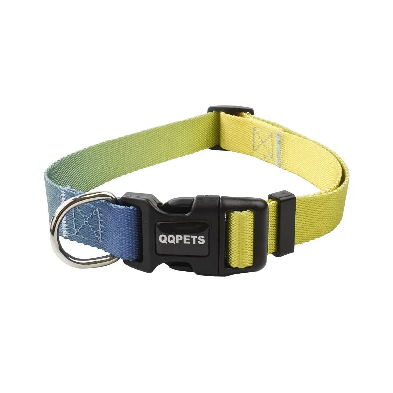 Ensemble laisse et collier réglables en nylon pour chiens - Pour petits et grands chiens
