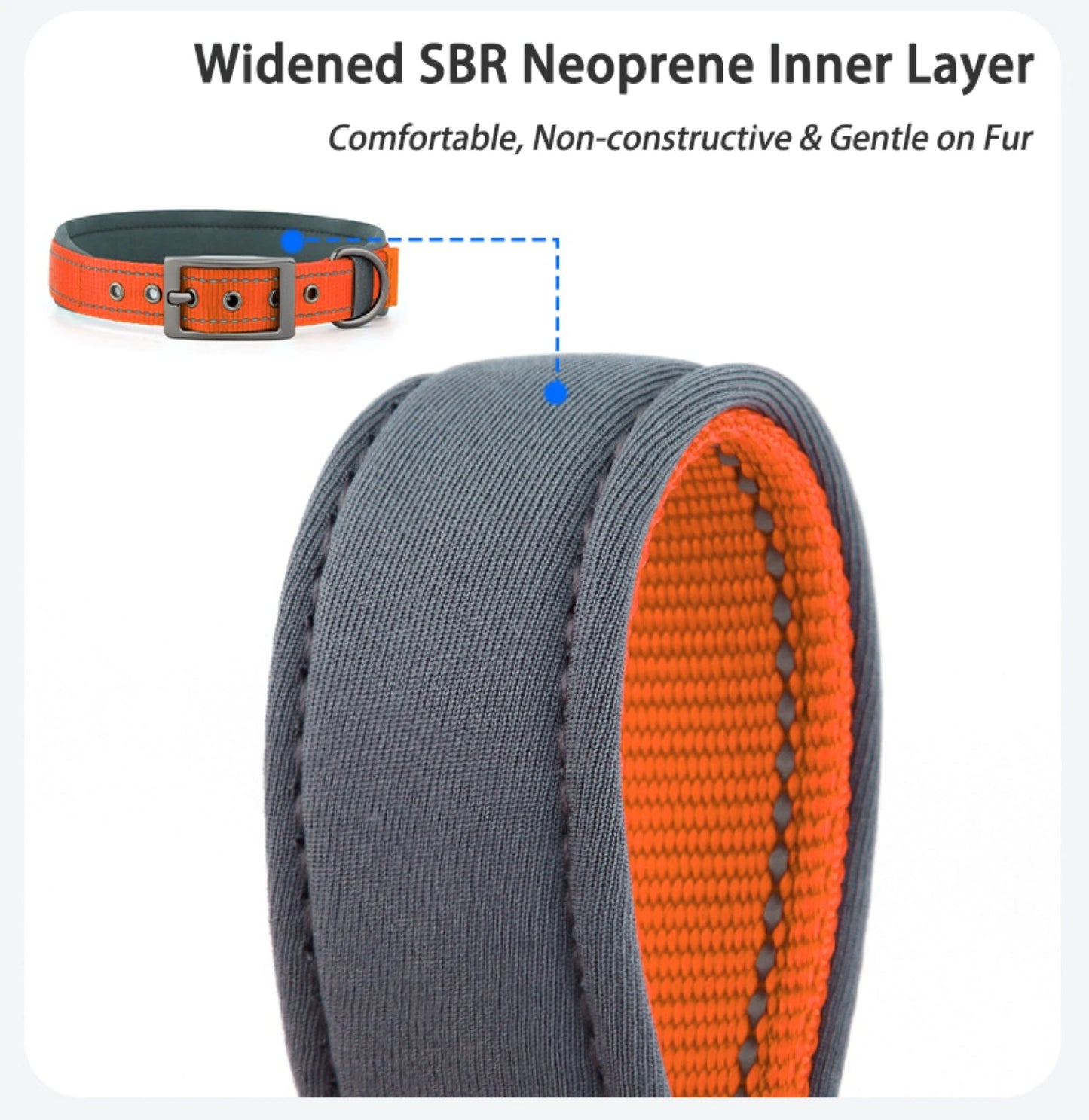 Neoprene Padded Reflective Dog Collar with Metal Buckle