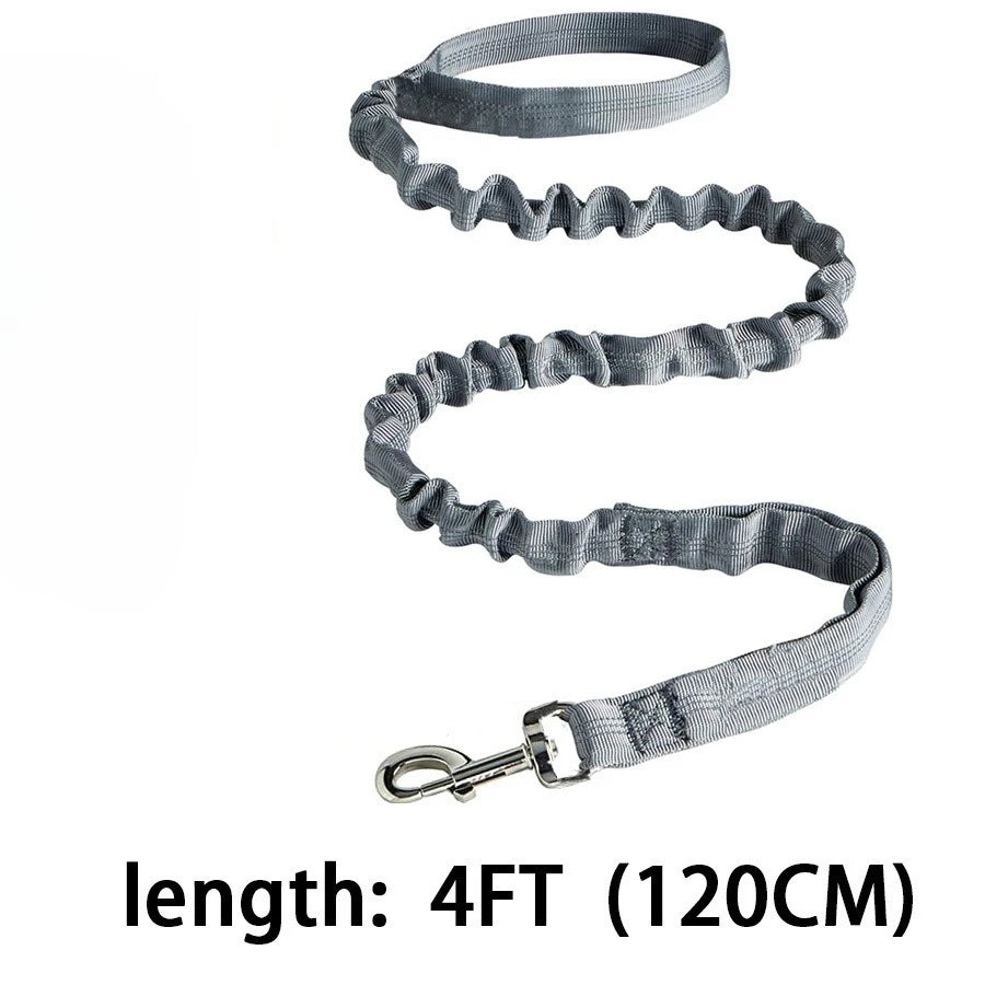 Laisse de dressage élastique antichoc pour chien