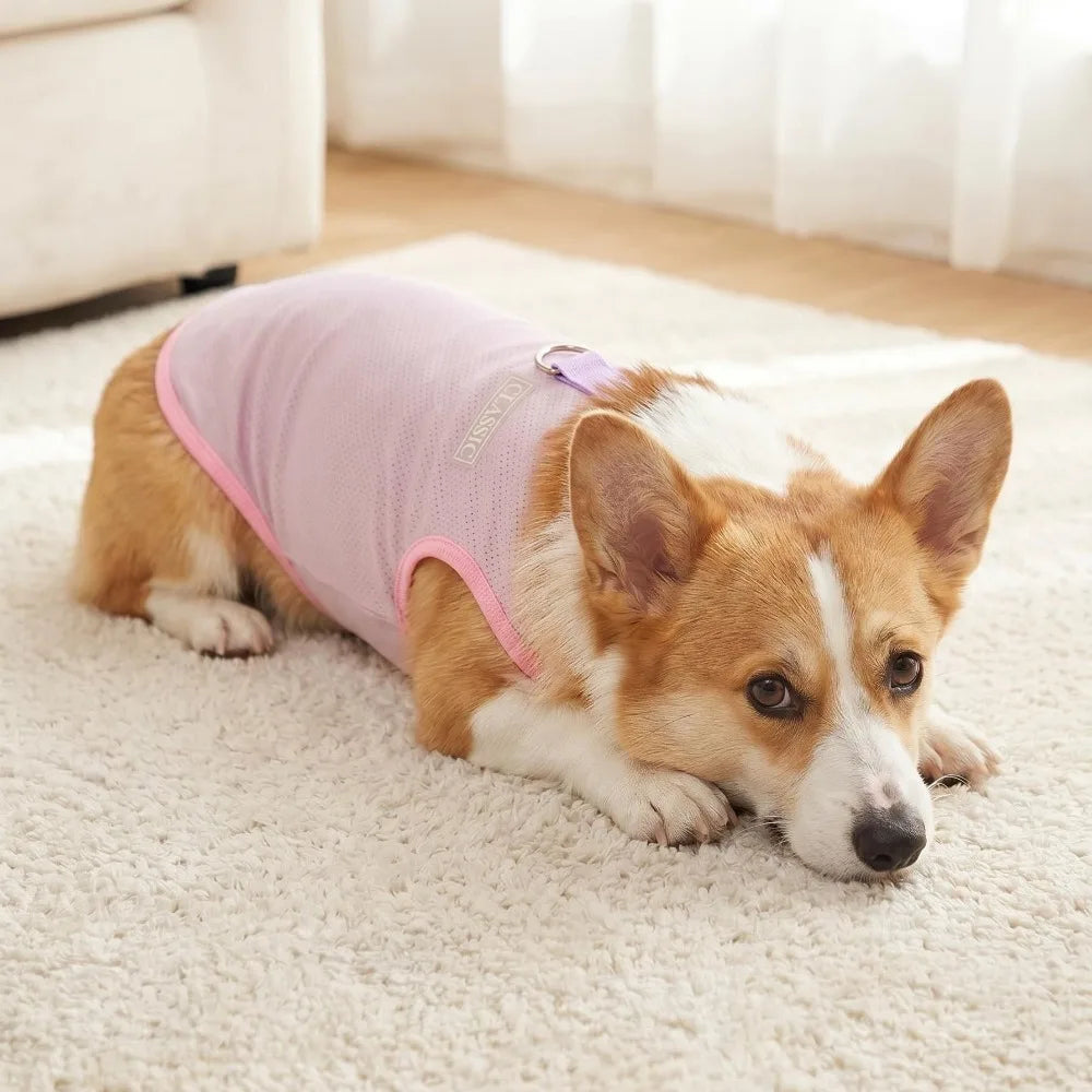 Breathable Mesh Cooling Vest with D-Ring for Small Dogs