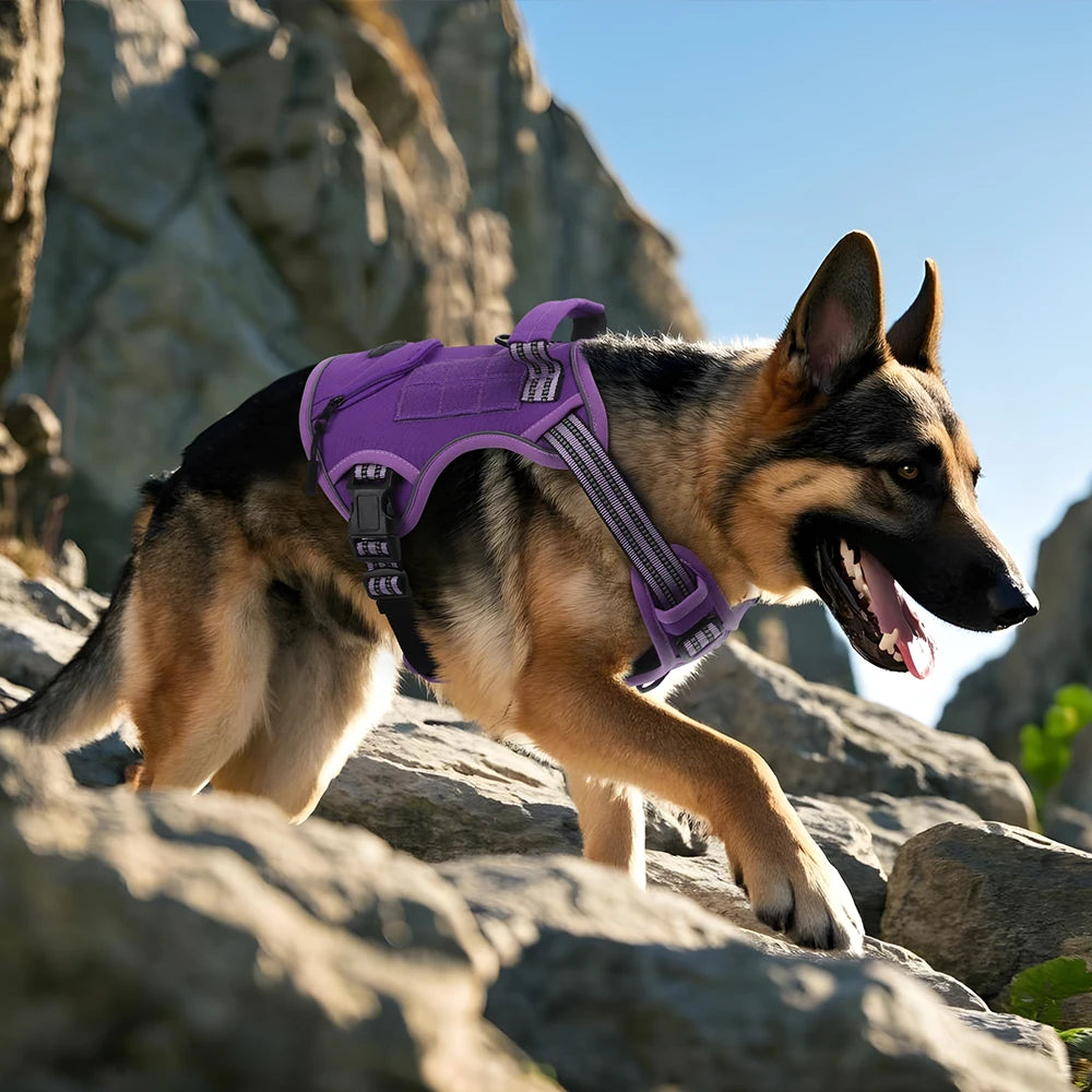 No-Pull Dog Vest Harness with Handle & Reflective Straps