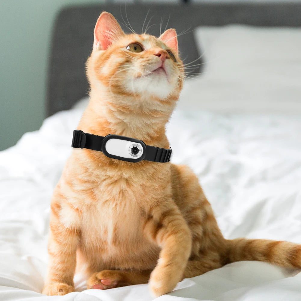 HD 1080P Pet Collar Camera — See the World Through Your Pet's Eyes
