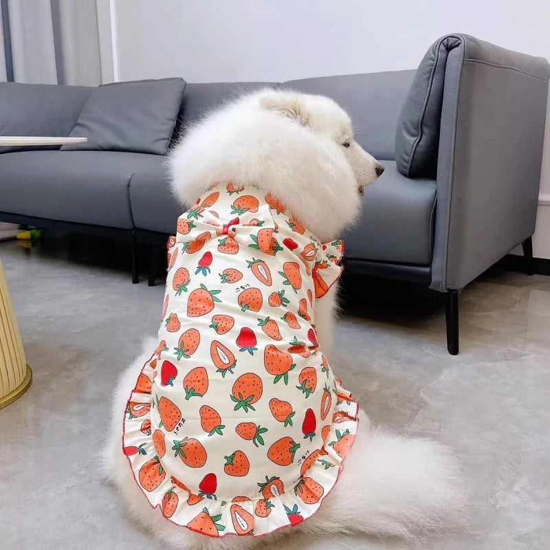 Robe de princesse rafraîchissante et gilet d'été pour chiens de taille moyenne et grande