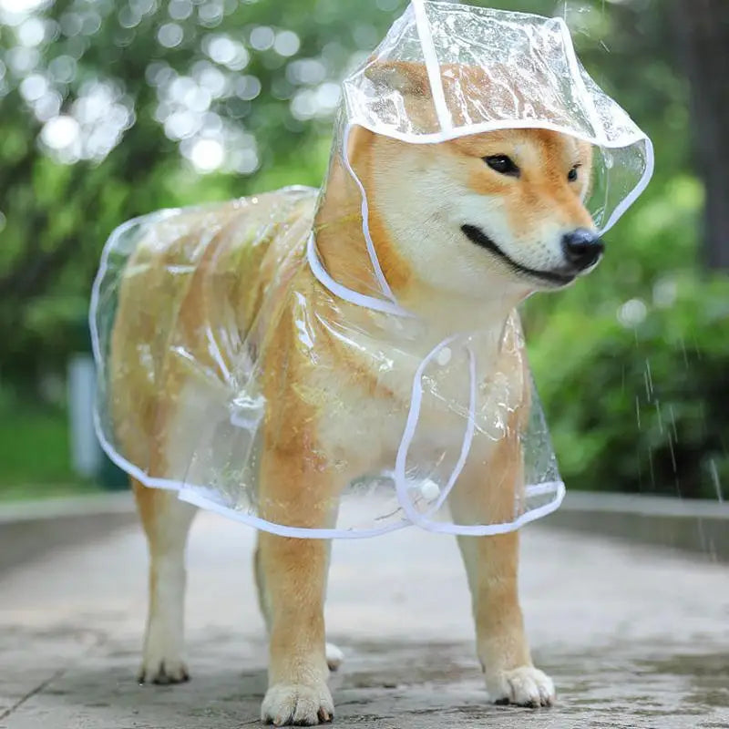 Transparent Waterproof Raincoat for Small & Medium Dogs