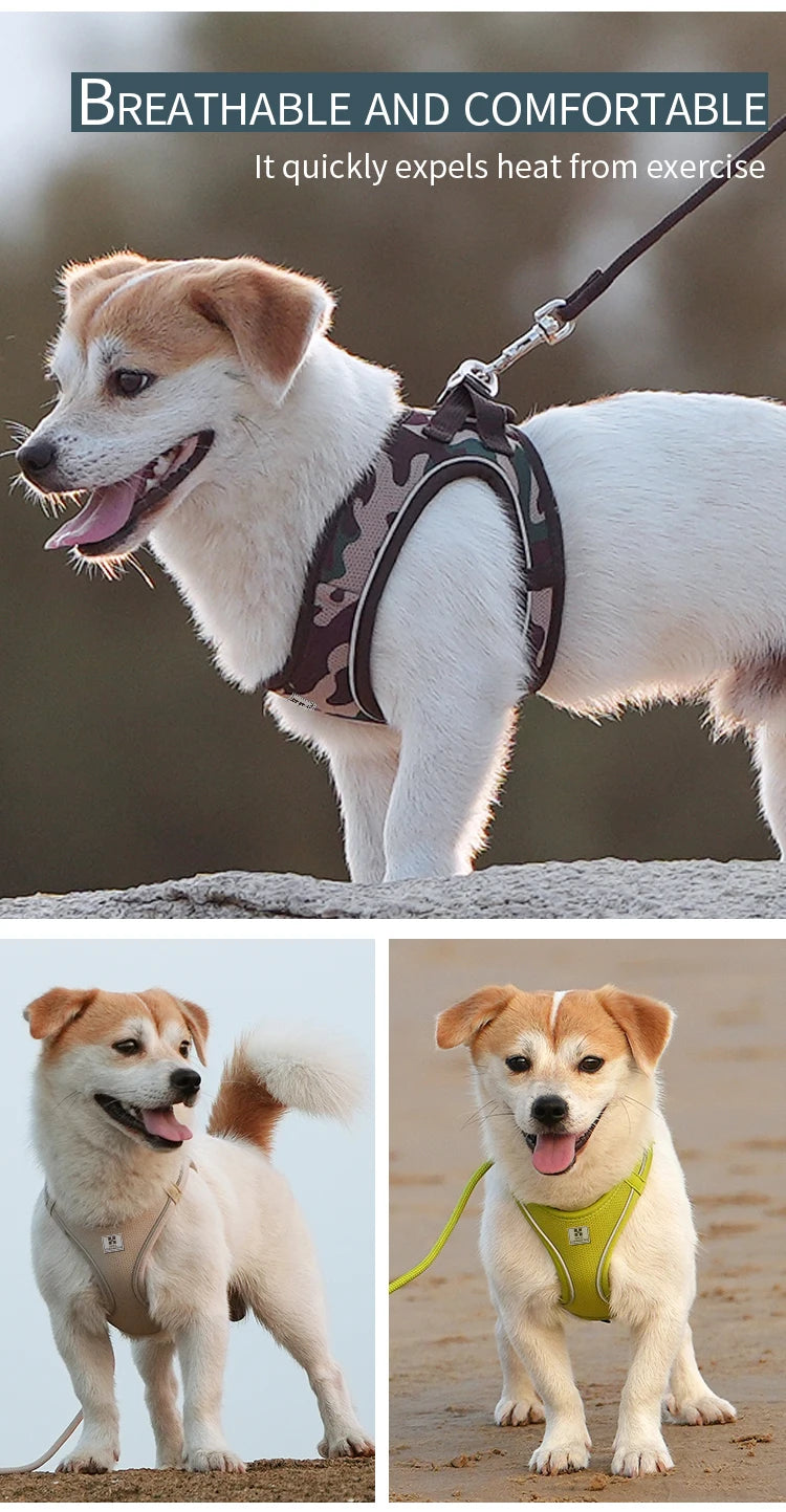 Reflective Dog & Cat Harness with Leash Set
