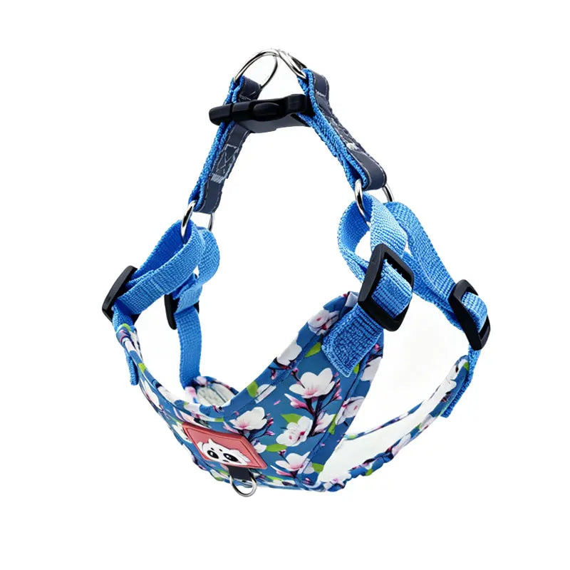 Adjustable Dog Harness & Leash Set with Reflective Strips