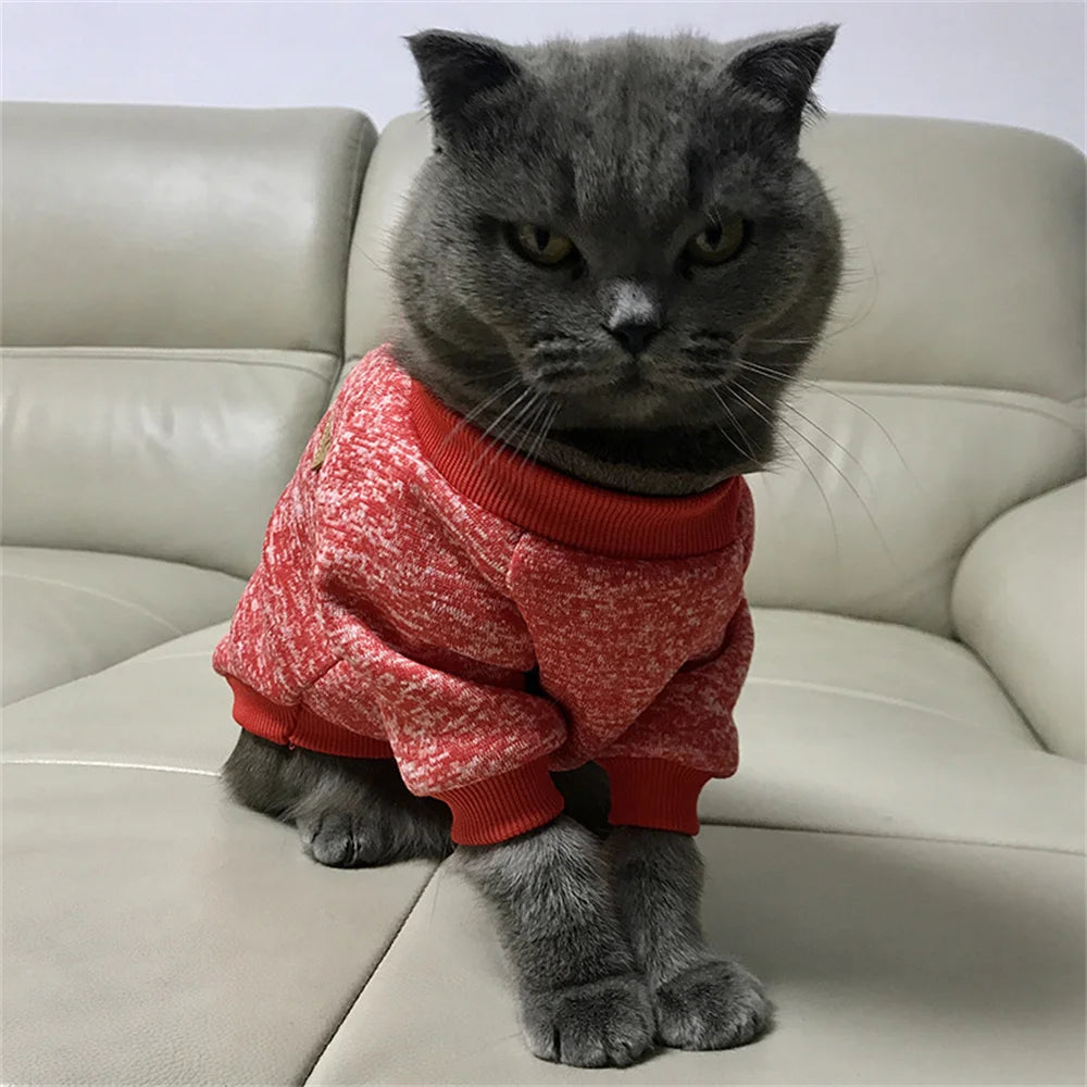Non-Hair-Sticking Pet Hoodie for Cats & Small Dogs