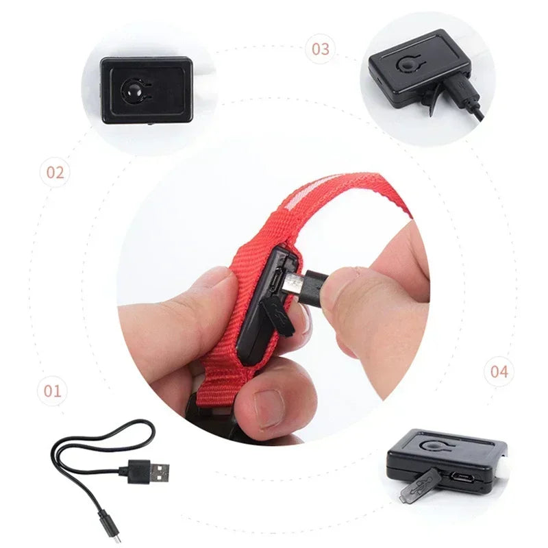 Collier lumineux LED pour chien - Réglable, clignotant, rechargeable - Collier lumineux pour la sécurité nocturne - Harnais lumineux anti-perte pour chien