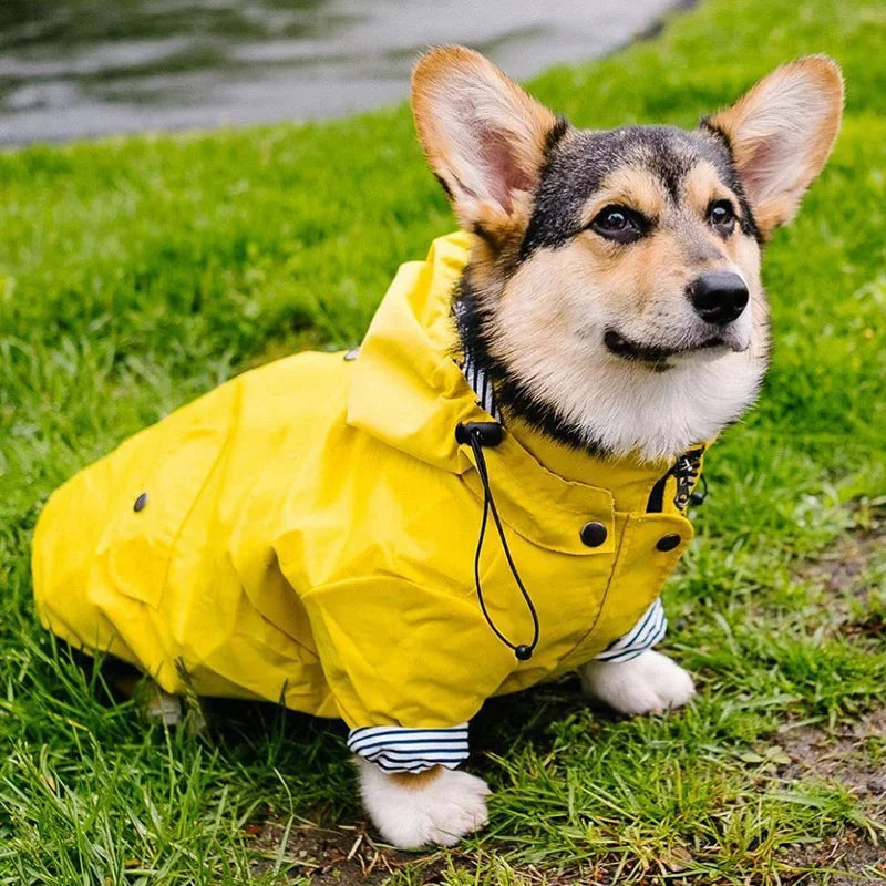 Waterproof Striped Raincoat for Dogs