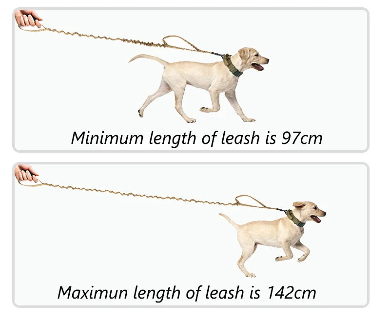 Durable Nylon Dog Collar & Leash Set for Large Dogs