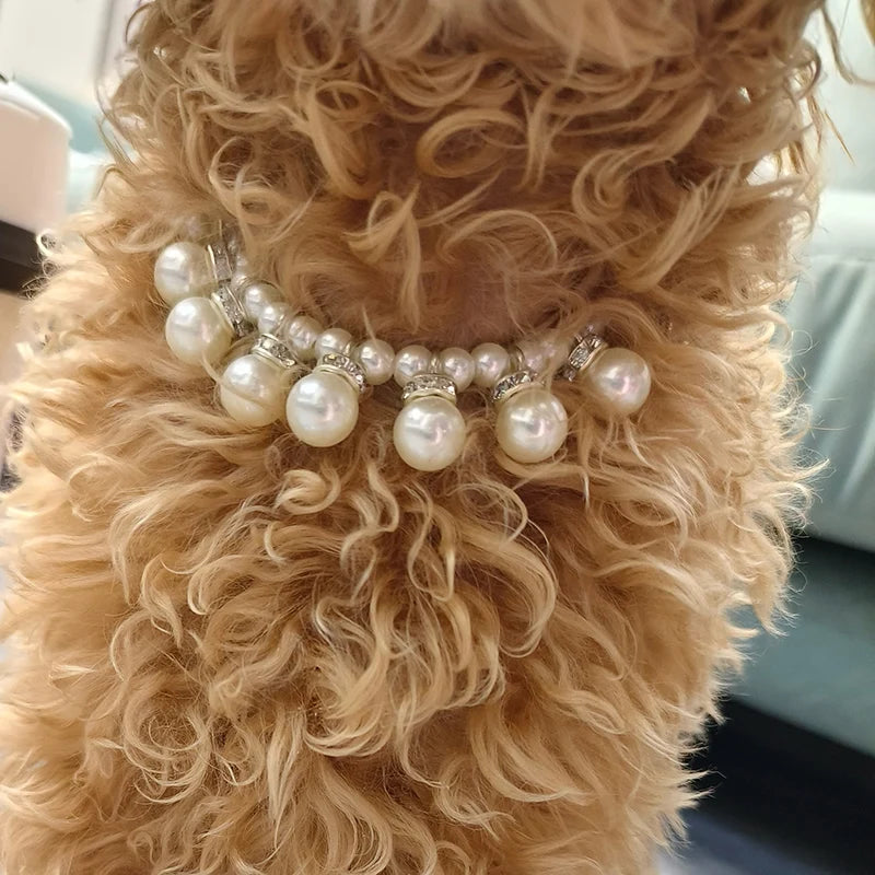 Luxury Pearl Pendant Puppy Dog Necklace Collar for Small Dogs Cats Chihuahua Pomeranian Teddy Bling Rhinestones Pet Accessories