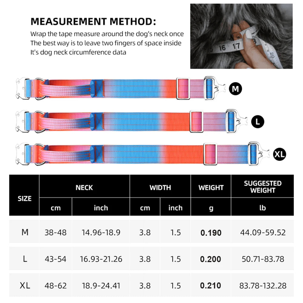 Wide Padded Dog Collar with Handle | Gradient Design for Large Dogs