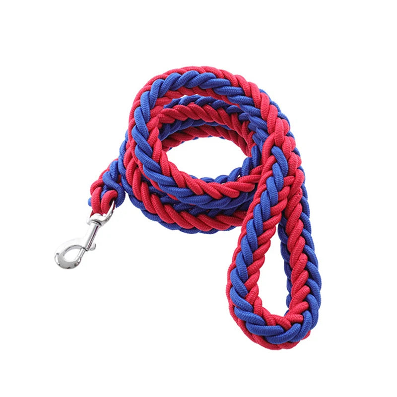Heavy-Duty Nylon Dog Lead