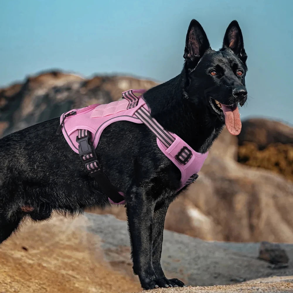 No-Pull Dog Vest Harness with Handle & Reflective Straps
