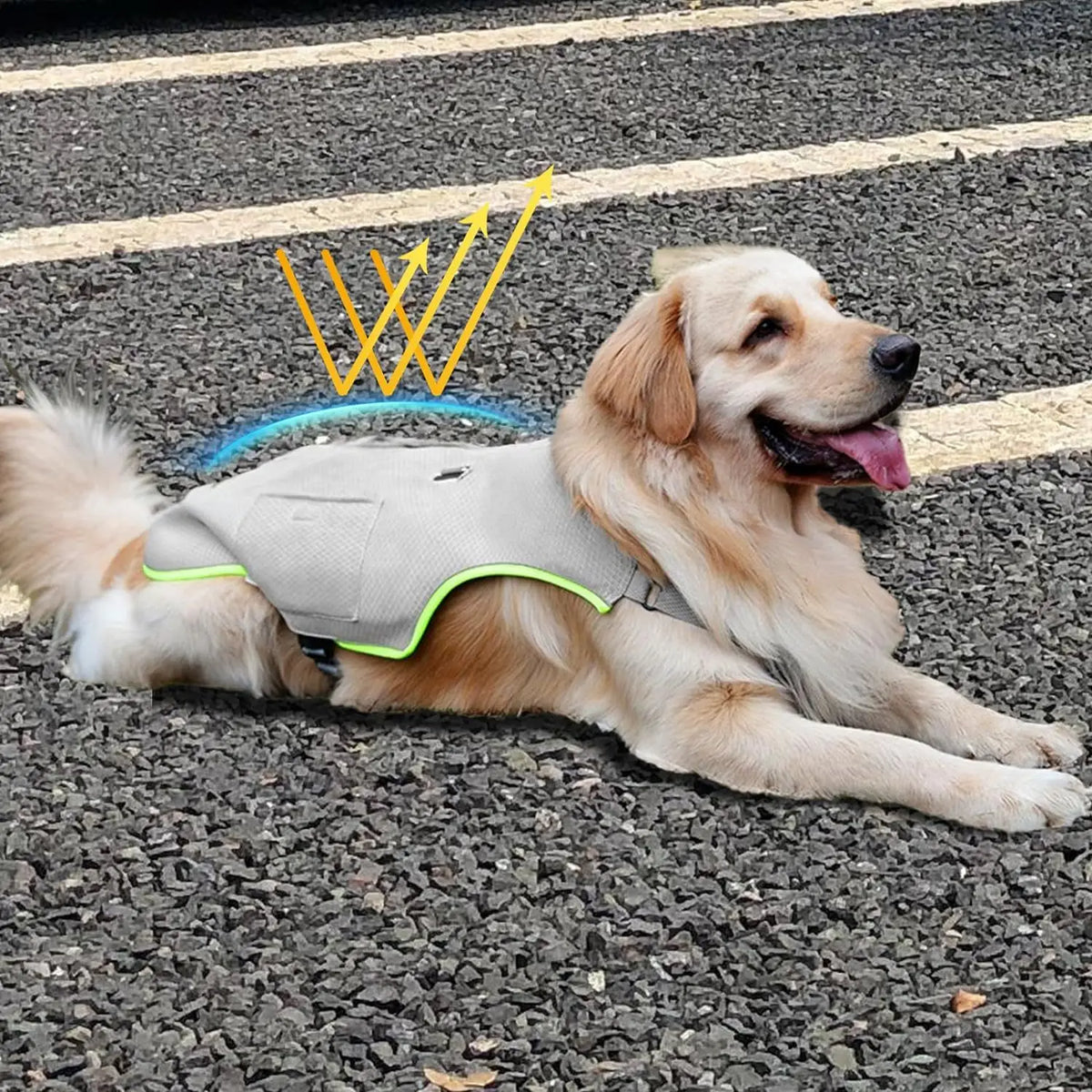 2-in-1 Dog Cooling Harness Vest with Ice Gel Pack & Reflective Strips