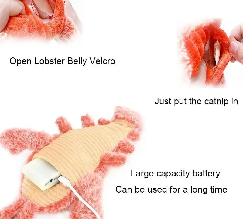Jouet interactif pour chat homard vibrant avec herbe à chat